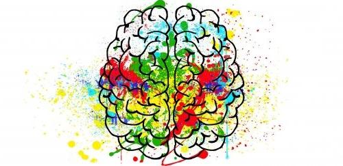 Human Brain image from Pixabay